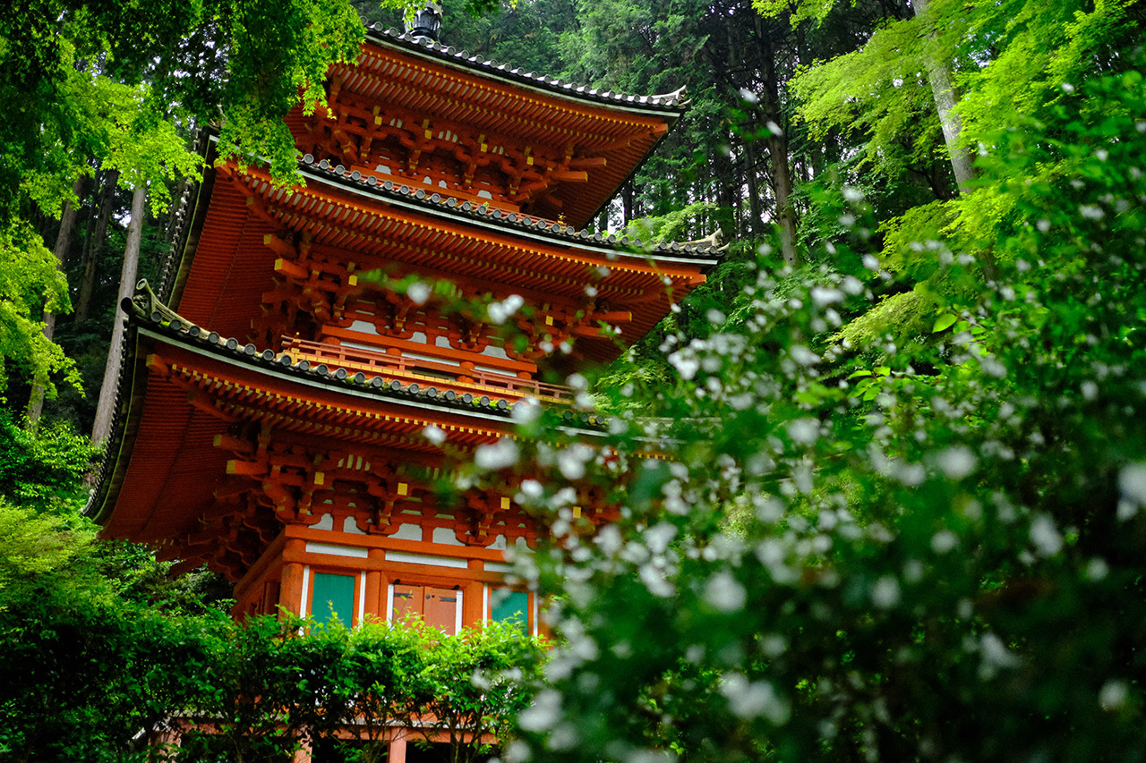 写真