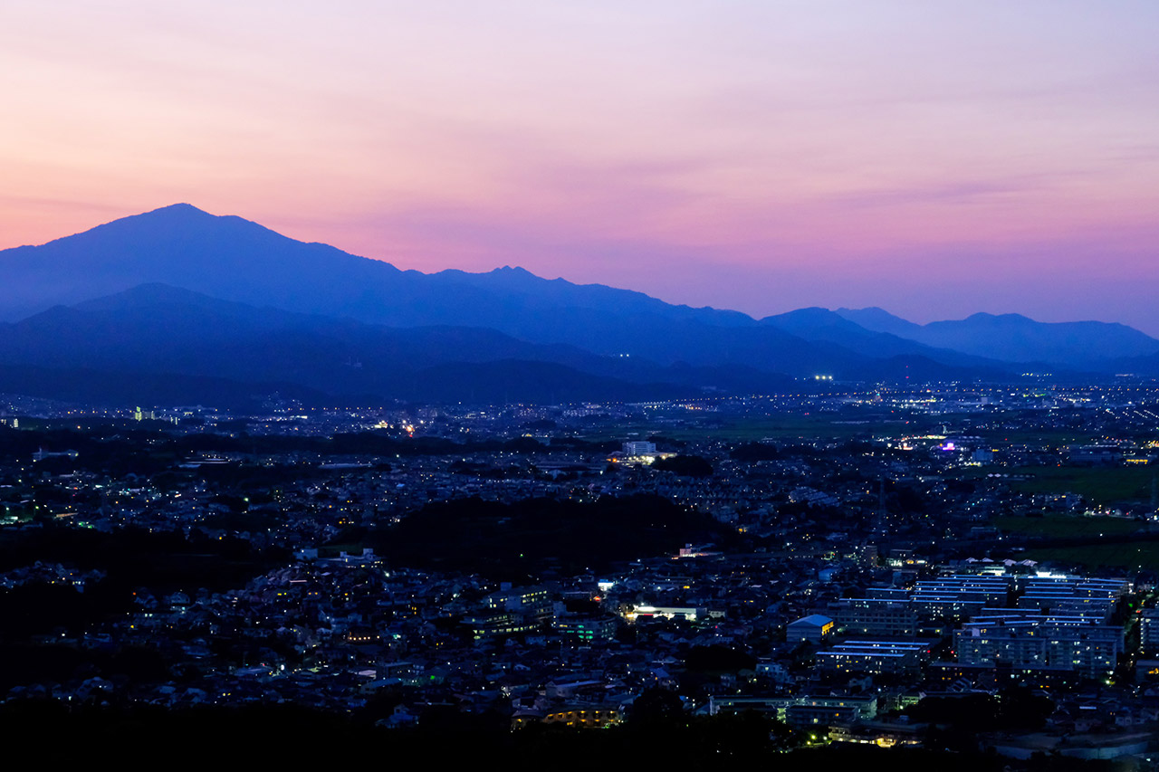 写真