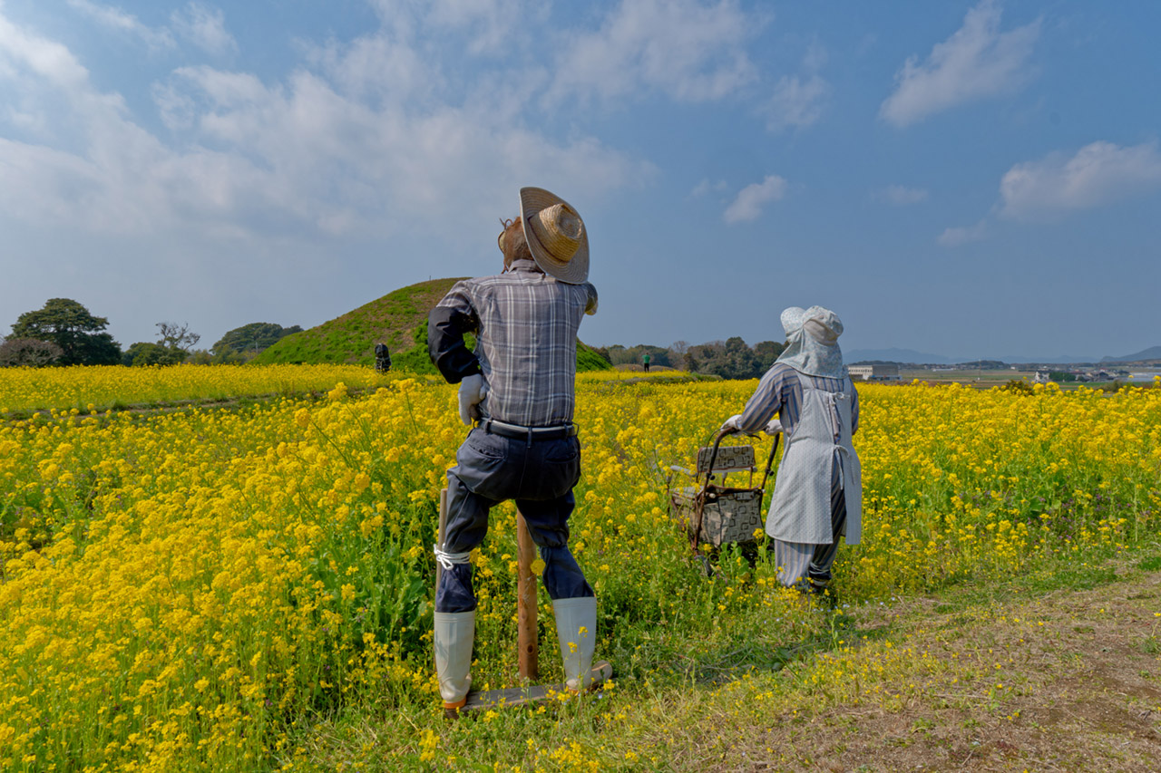 写真