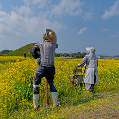 写真