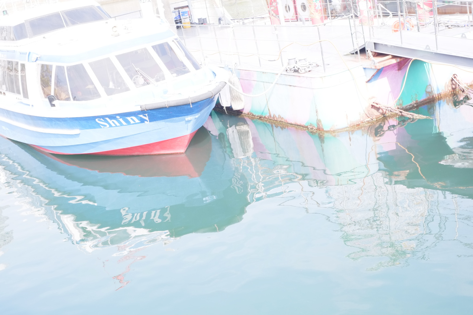 写真