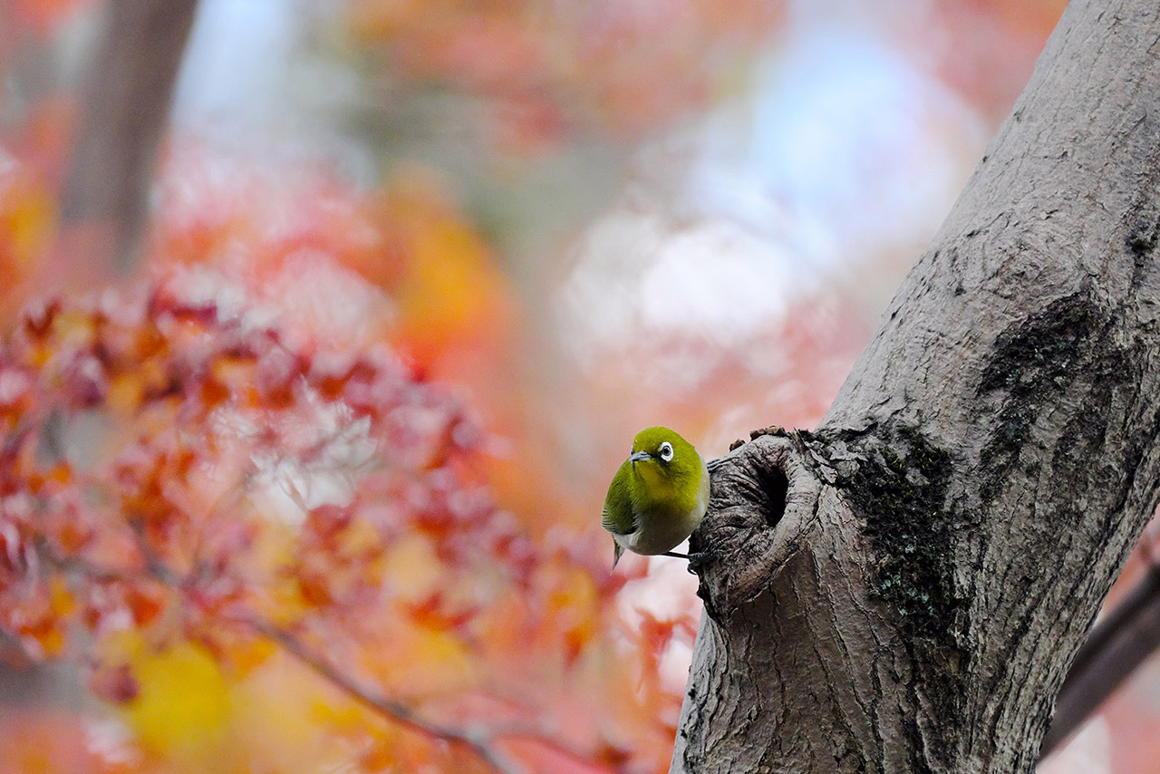 写真